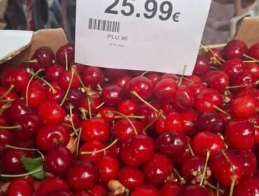 Nje kilogram qershia 26 euro ne kosov